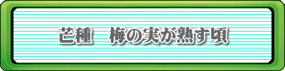 芒種　梅の実が熟す頃